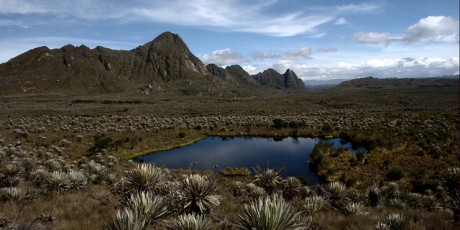 PARAMO